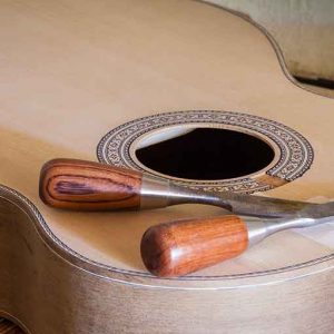 Luthiers - for Plucked string instruments Package PREMIUM