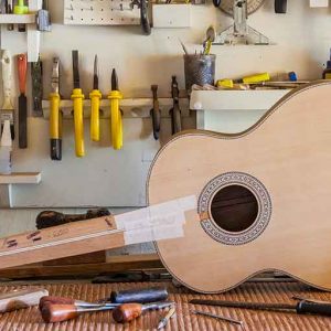 Luthiers - for Plucked string instruments Package SPONSOR