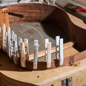Luthiers - for Plucked string instruments Personal Page Package
