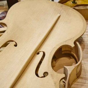 Luthiers - for Bowed string instruments Personal Page Package