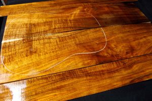 Tasmanian Acoustic Tonewood