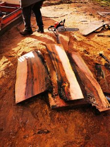 Tasmanian Acoustic Tonewood