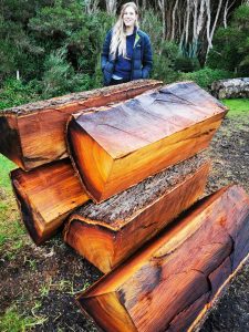 Tasmanian Acoustic Tonewood