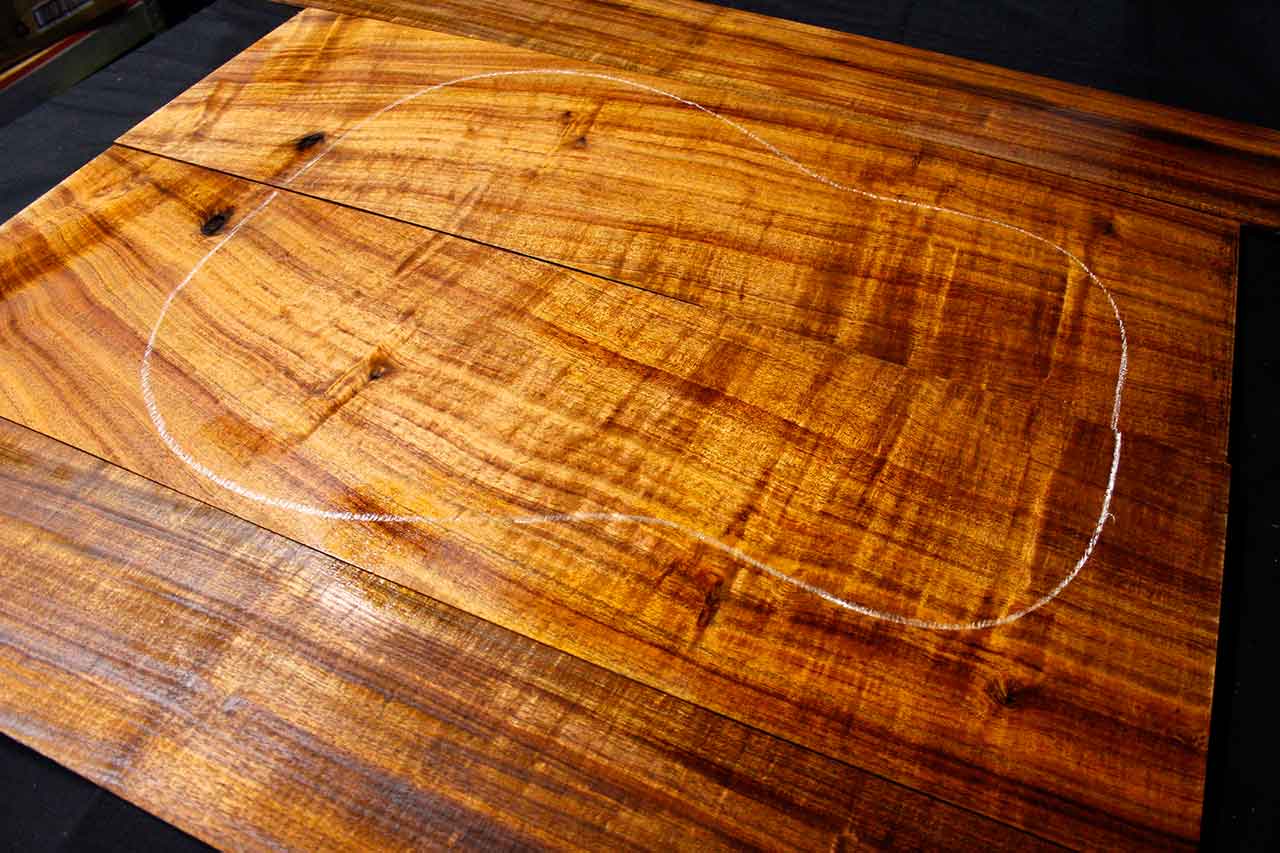 Tasmanian Acoustic Tonewood Interview 3 Flagship productions