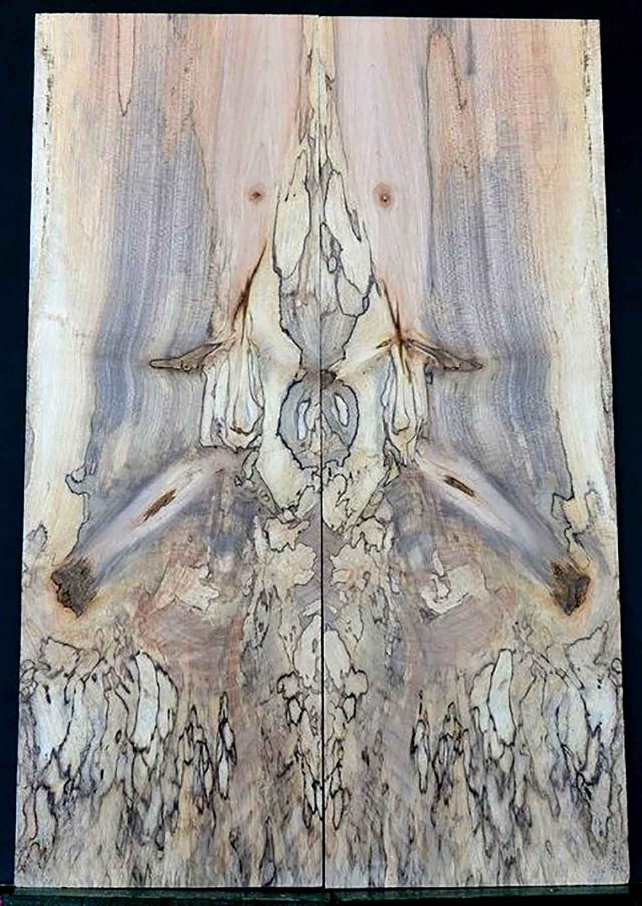 Tesla Tonewood joined Luthiers.com