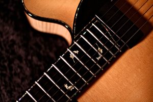 Tom Bills Archtop Guitars - The NATURA Elite