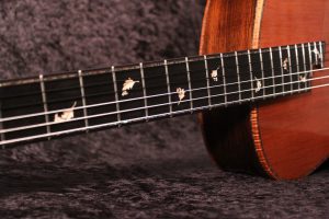 Tom Bills Nylon String Guitars - The GENESIS NYLON STRING
