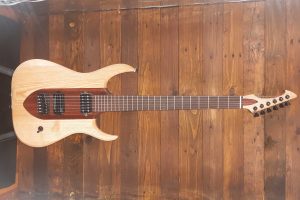 MAD Guitars Mad Machine M6D - Available For Sale