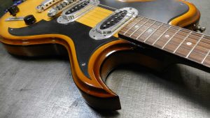 Roadrunner Guitars Champion Single Cutaway