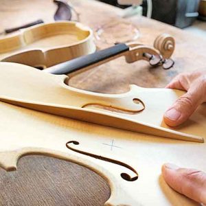 Luthiers - for Bowed string instruments Package PREMIUM