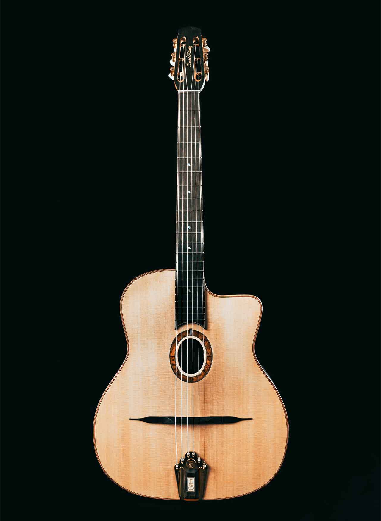 Stankevicius Guitars-Model David Kluttig