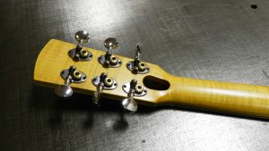 Roadrunner Guitars Odessa Moby Dick Custom model