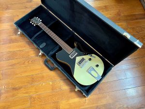 Roadrunner Guitars Federal [Second-hand - Available for sale]